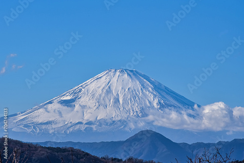新春の富士山（神奈川県・吾妻山公園）2