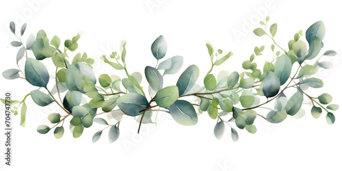 Watercolor vector wreath with green eucalyptus leaves and branches  © Thanthara