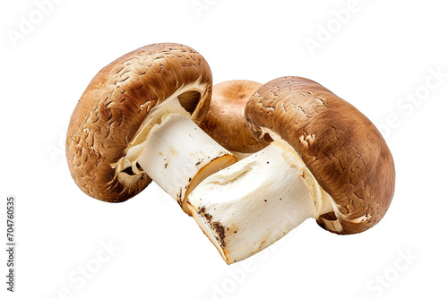 whole and halved porcini mushroom on a white isolated background
