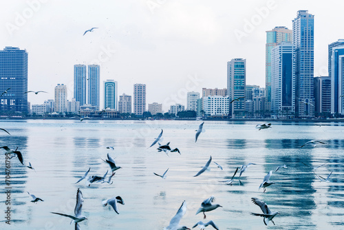Skyline UAE with skyscrapers and sea bay with seagulls.  Sharjah city skylines background. photo
