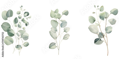 Watercolor floral border with baby and silver dollar eucalyptus leaves 
