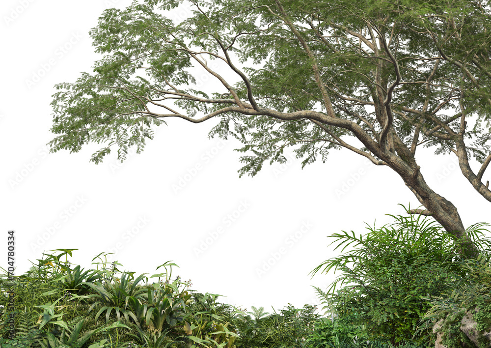 Foreground with big trees and shrubs on transparent background Foreground with big trees and shrubs on transparent background