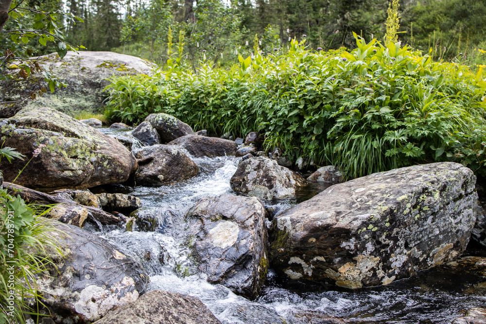 mountain stream flows over large stones mountain stream flows over large stones