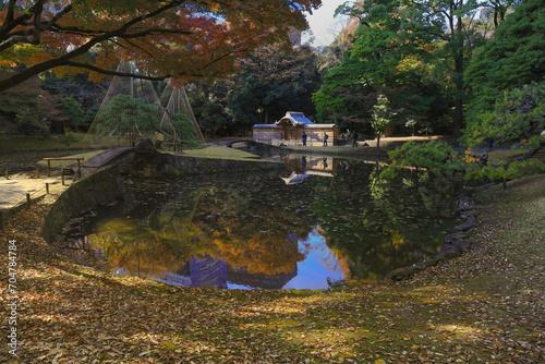 the landscape of the koishikawa korakuen, japan Nov 29 2023 photo