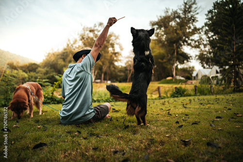 dog happy jumps and grabs dog treats on his owner's hand. Pet family, Food, snacks concept.