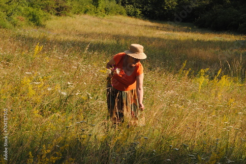 Senior woman picking wildflowers in the field on a summer day