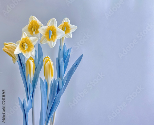 daffodi dreamy and romantic. Mother's day, Valentines Day, Birthday celebration concept. Greeting card. Copy space for text, top view. Generative AI photo