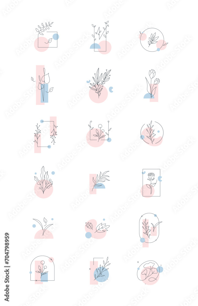 Aesthetic Minimalist Plant and Flower With Shape Illustration Design Shape