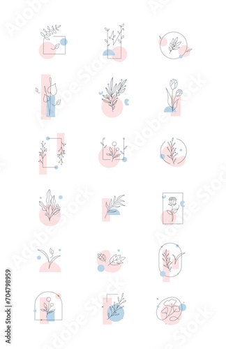 Aesthetic Minimalist Plant and Flower With Shape Illustration Design Shape