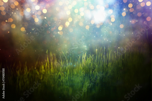 Dreamy forest image, blooming meadow and pastel bokeh lights © tomertu
