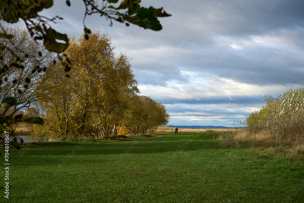 Tranquil countryside scene with vibrant greenery and a serene body of water under an expansive cloudy sky.