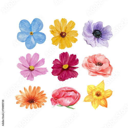 Lovely Watercolor Floral Illustration For T-shirt And Other Merchandise, Flowers Vector Art