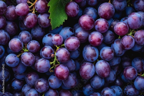 Close up of fresh grapes with water drops, top view