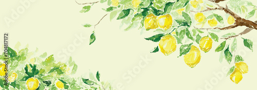 Lemon tree branch with lush foliage. Vector illustration,  drawing in shabby fresco style. 