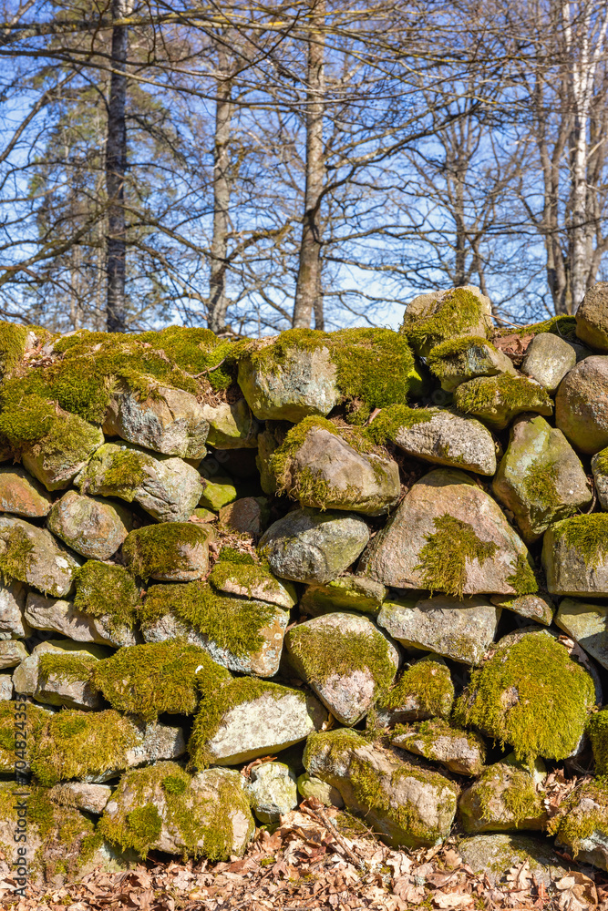 Old Stone wall with green moss in spring