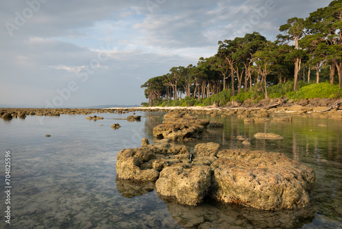 Rocky coastline of a tropical Neil or Shaheed Dweep island in Andaman and Nicobar island archipelago in India photo