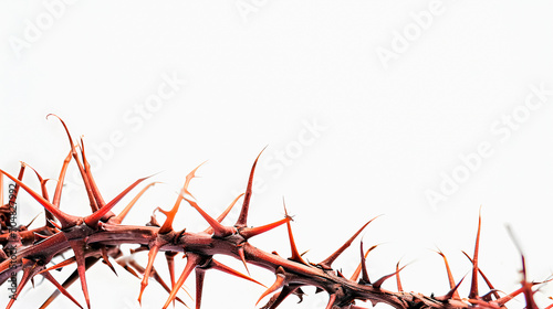 Thorns of Jesus of Nazareth. Christian Context of Holy Week. Space for text.Easter. 