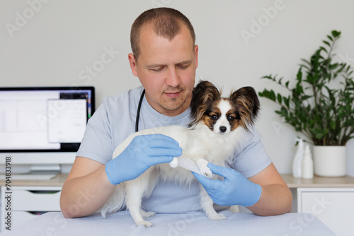 Young male veterinarian in work uniform bandaging a paw of a small dog sitting on the table