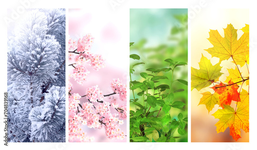 Four seasons of year. Set of vertical nature banners with winter, spring, summer and autumn scenes. Nature collage with seasonal scenics photo