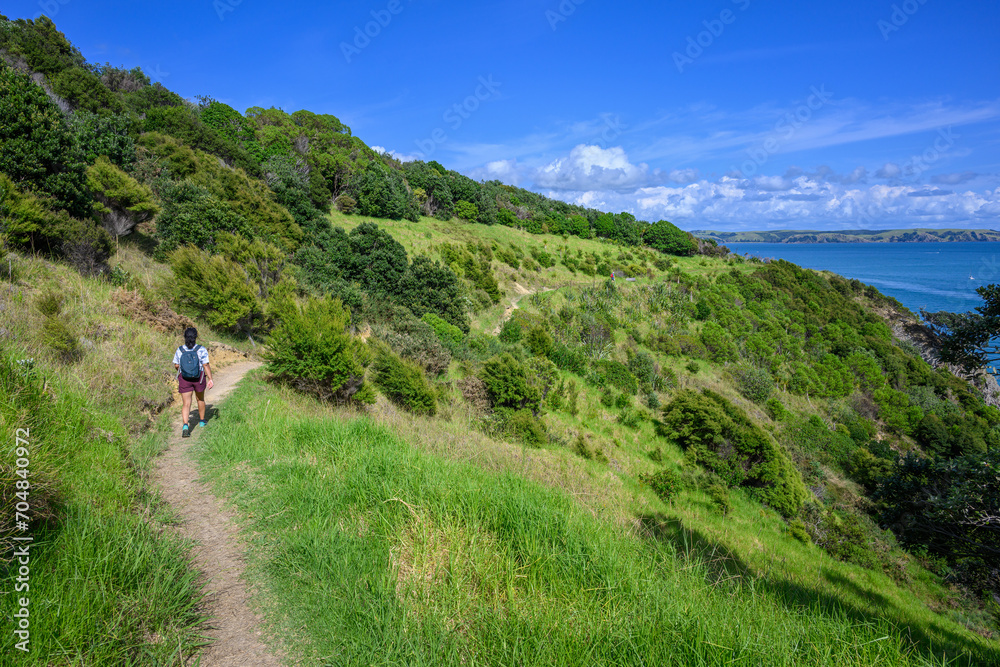 People hiking the Waiheke Island Matiatia to the Vineyards via the Coastal Track. Hauraki Gulf, New Zealand.