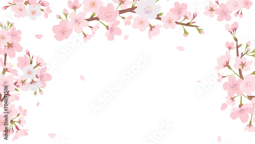 桜のフレーム素材（フルHDサイズ 16:9） © kumashacho