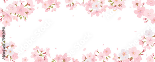 桜のフレーム素材 © kumashacho
