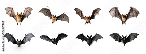 3d bat isolate on transparency background png 