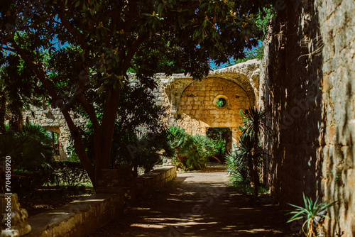 Amazing view of the old park on the Lokrum island near Dubrovnik, Croatia. Travel destination in Croatia.