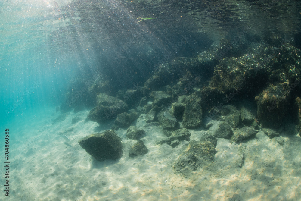 Fototapeta premium Rock and sand on the ocean floor.