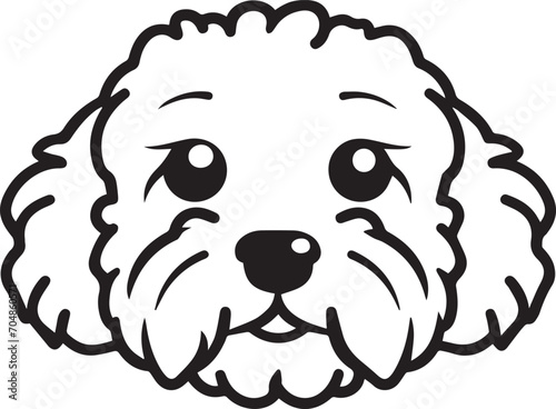 cute cavadoodle dog face