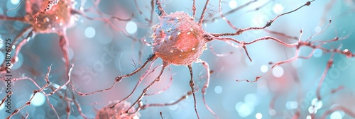 Baby human tissue producing new neurons derived from stem cells photo
