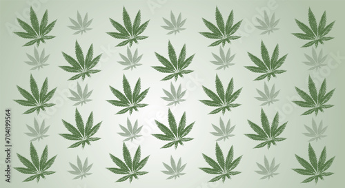 Green leaves of marijuana. Cannabis leaves on a green gradient background. Copy space,