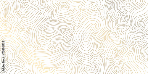 Vector line contour map texture, typography abstract pattern, golden mountain landscape grid