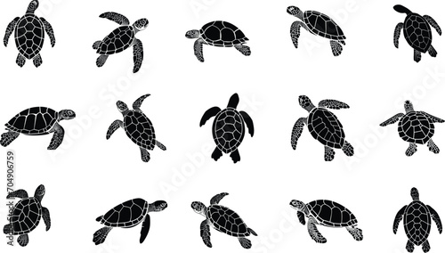 Set of Turtle Silhouette Collections