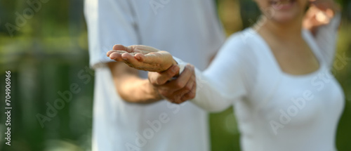 Cropped shot senior couple practicing Tai Chi in the park. Mental health and retired lifestyle concept