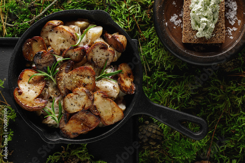 Fried potatoes with forest mushrooms boletus served in iron cast pan on the green forest moss background.  Vegetarian autumn food concept. Food plating and aesthetic concept.