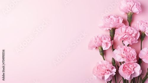 fresh spring carnation flowers on a pink background, spring pink banner, place for a text  © reddish