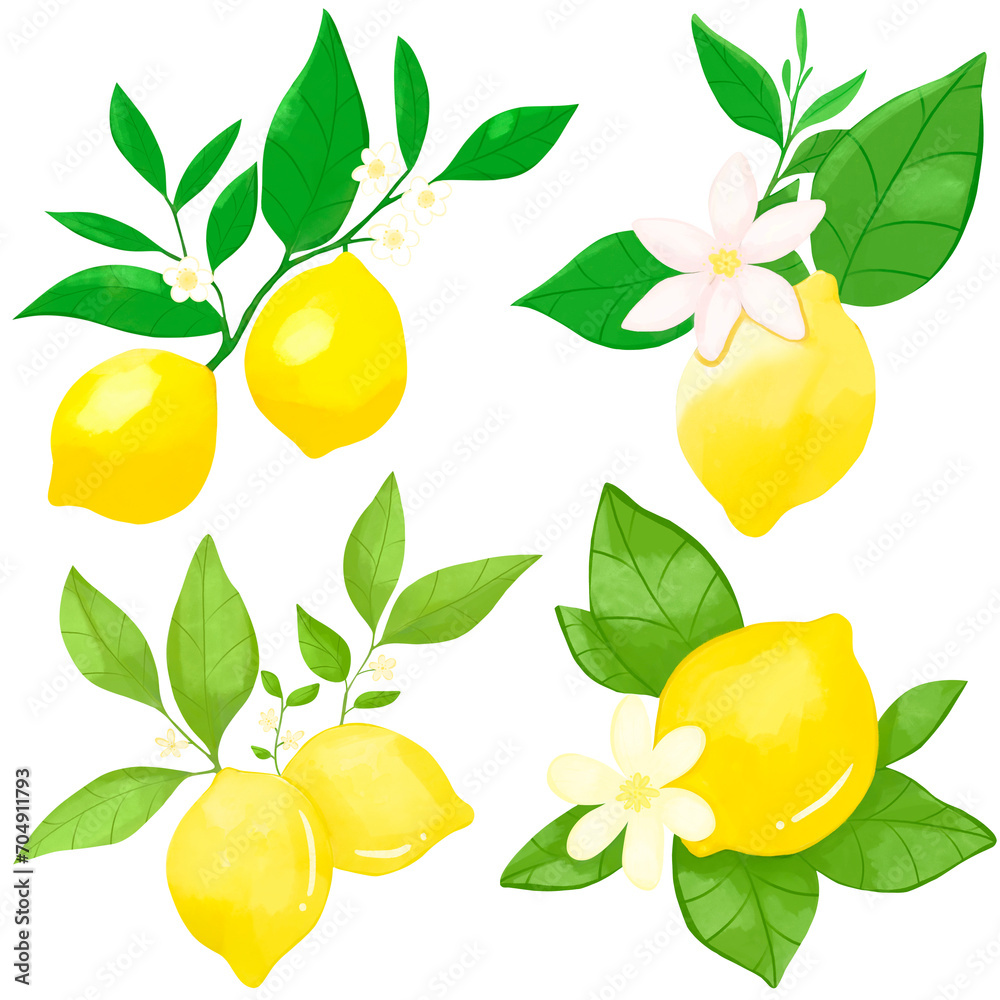 lemon with leaves and flowers clipart on a transparent background lemon with leaves and flowers clipart on a transparent background