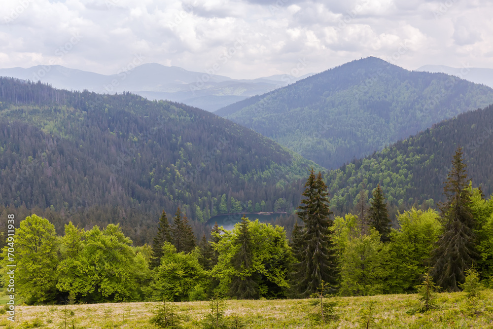 Mountain valley with lake and forested slopes in Carpathian Mountains