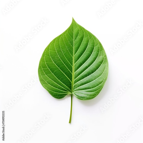 green leaf isolated on white background Created with generative Ai 