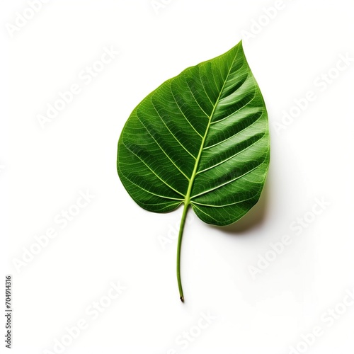 green leaf isolated on white background Created with generative Ai 