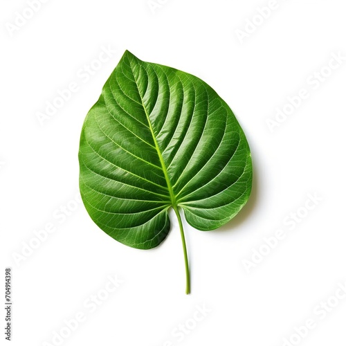 green leaf isolated on white background Created with generative Ai 