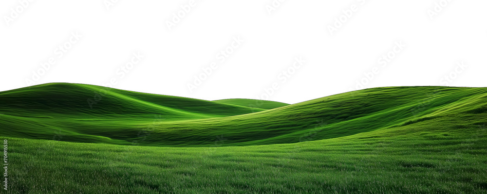 Panorama of green landscape is on white background Panorama of green landscape is on white background