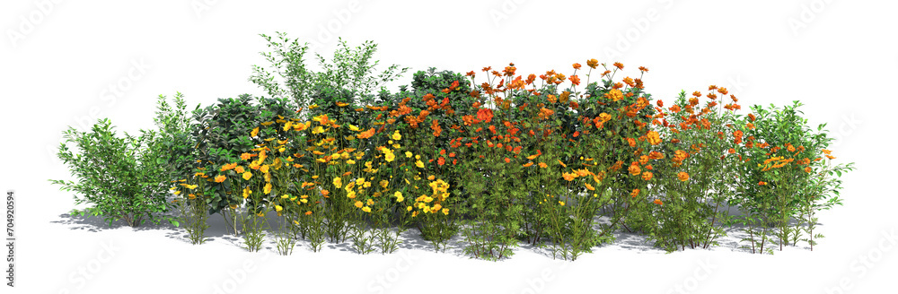 Rendered image of a colorful blooming flowerbed with different plants and flowers, isolated on white background