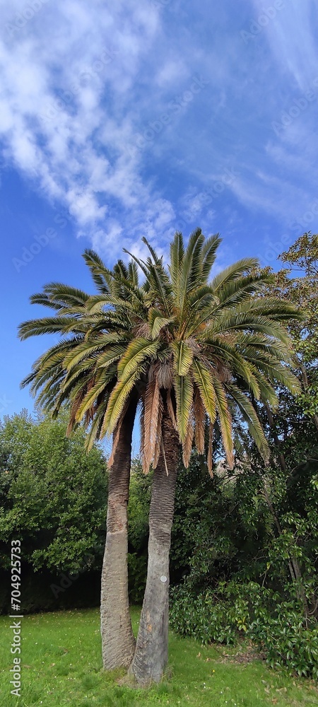 Obraz premium street