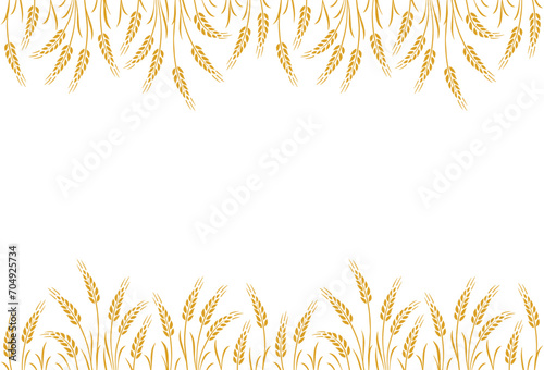 wheat, oat, rye seamless label pattern with stalks
