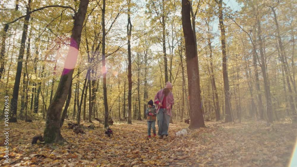 Mother and son walk in the forest in the fall, holding dogs on leashes. Happy family moments of walking with pets in the park on rough leaves. High quality 4k footage Mother and son walk in the forest in the fall, holding dogs on leashes. Happy family moments of walking with pets in the park on rough leaves. High quality 4k footage