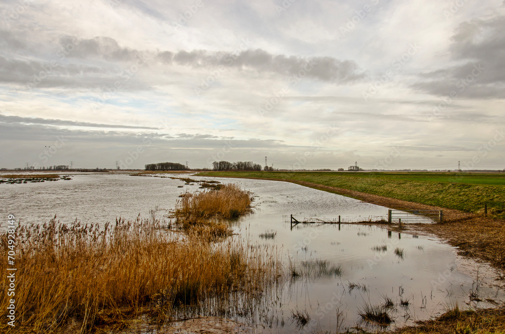 Piece of land temporarily under water as part of the Room for the River flood protection project, in the Noordwaard region in Biesbosch national park in the Netherlands
