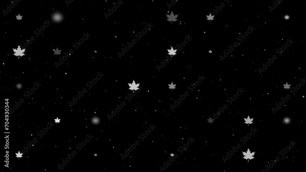 Template animation of evenly spaced maple leafs of different sizes and opacity. Animation of transparency and size. Seamless looped 4k animation on black background with stars Template animation of evenly spaced maple leafs of different sizes and opacity. Animation of transparency and size. Seamless looped 4k animation on black background with stars