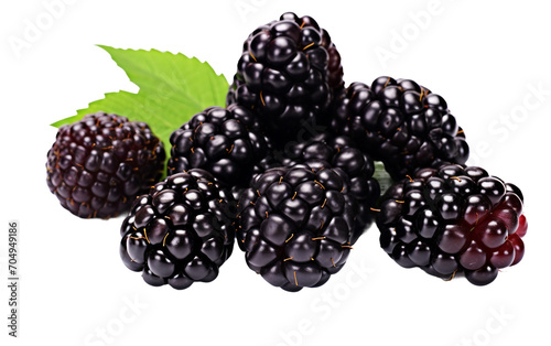 A Bundle of Glossy Blackberries Isolated on Transparent Background PNG. Isolated on Transparent Background PNG.